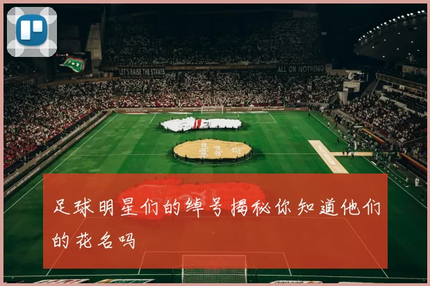 足球明星们的绰号揭秘你知道他们的花名吗