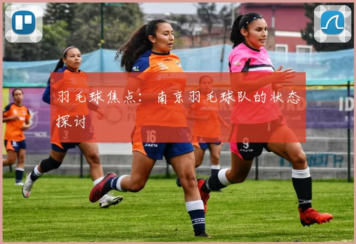 羽毛球焦点：南京羽毛球队的状态探讨